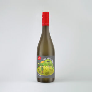 Robi a hegyről 2024