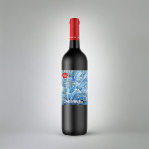 Cabernet 2022
